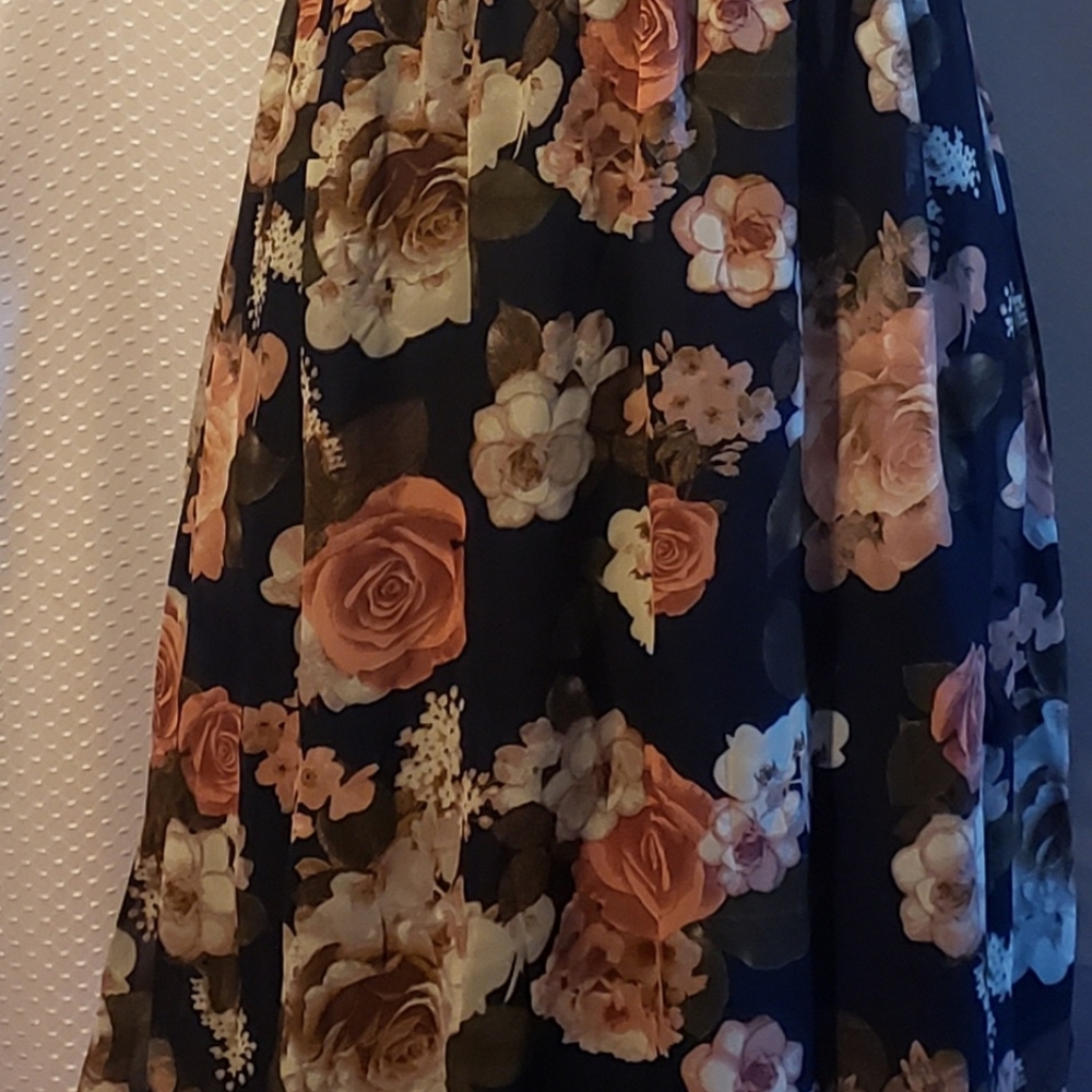 Maxi Dress (size Large)